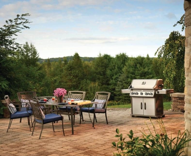 napoleon-rogue-se-625-rsib-infrared-side-and-rear-burners-gas-bbq-5